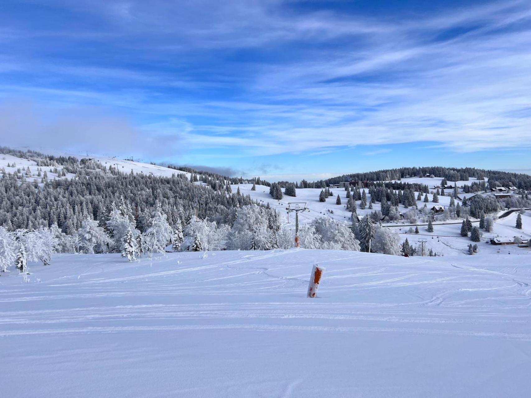 Fewo “Ruhige Momente” In Waldkirch Dış mekan fotoğraf