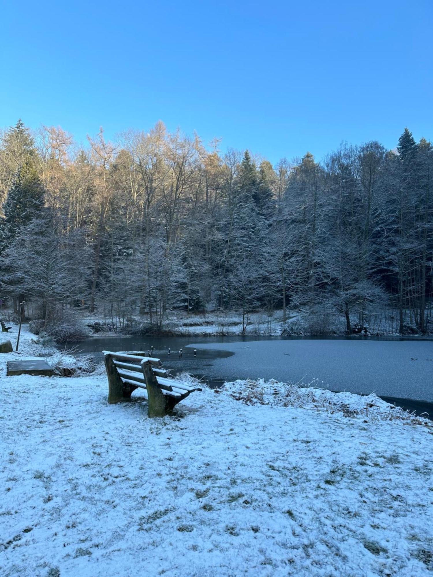 Fewo “Ruhige Momente” In Waldkirch Dış mekan fotoğraf