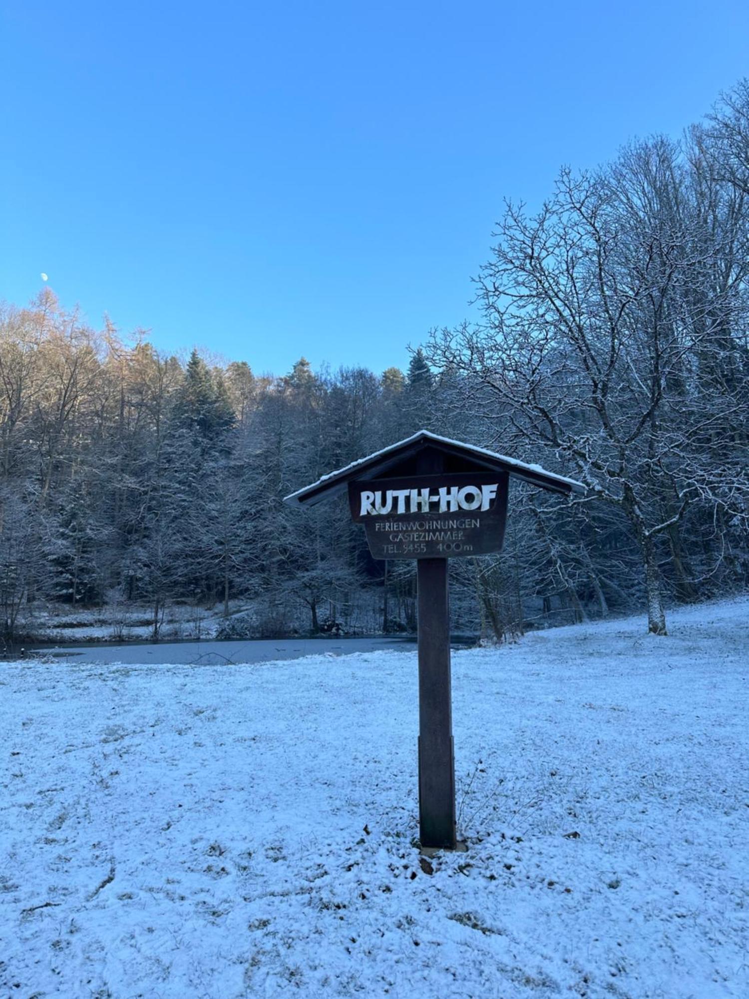 Fewo “Ruhige Momente” In Waldkirch Dış mekan fotoğraf